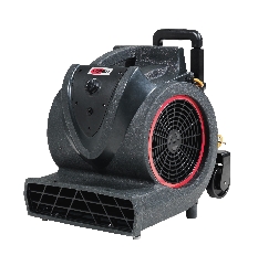 Uscare covoare si podele